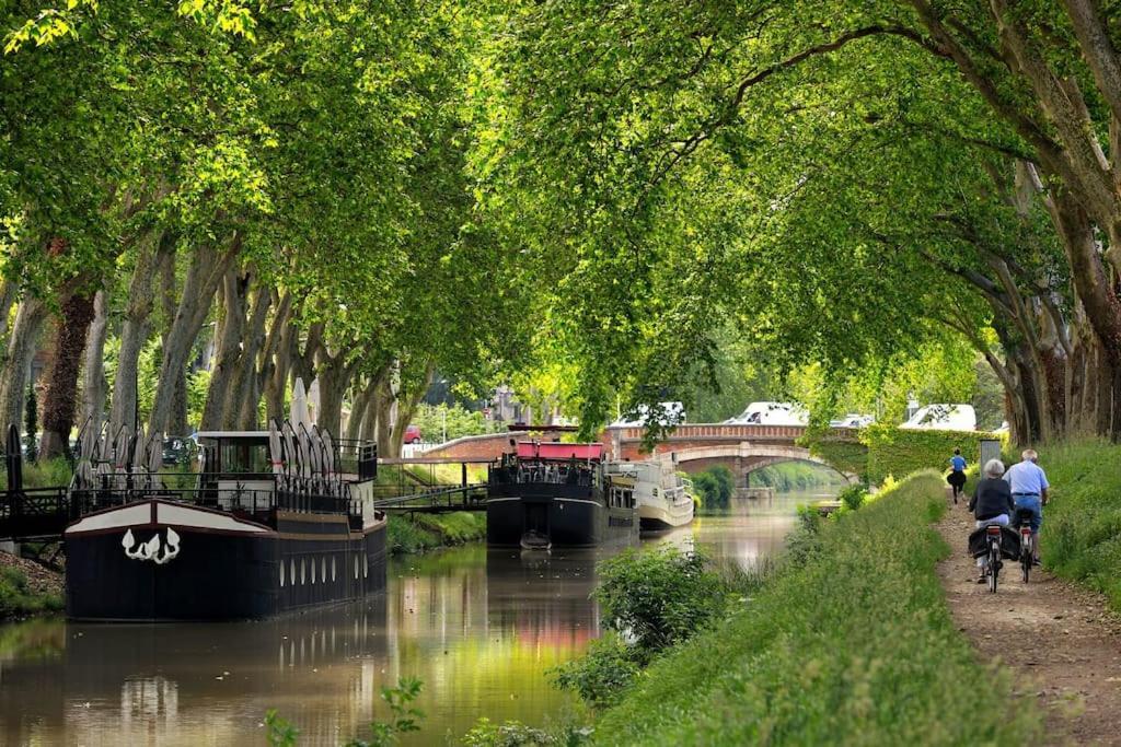 T2 Atypique, Rénové, Confortable Béziers