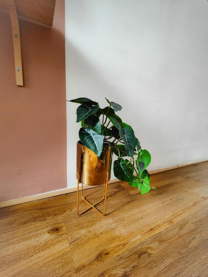 Apartment T2 Atypique, Renove, Confortable